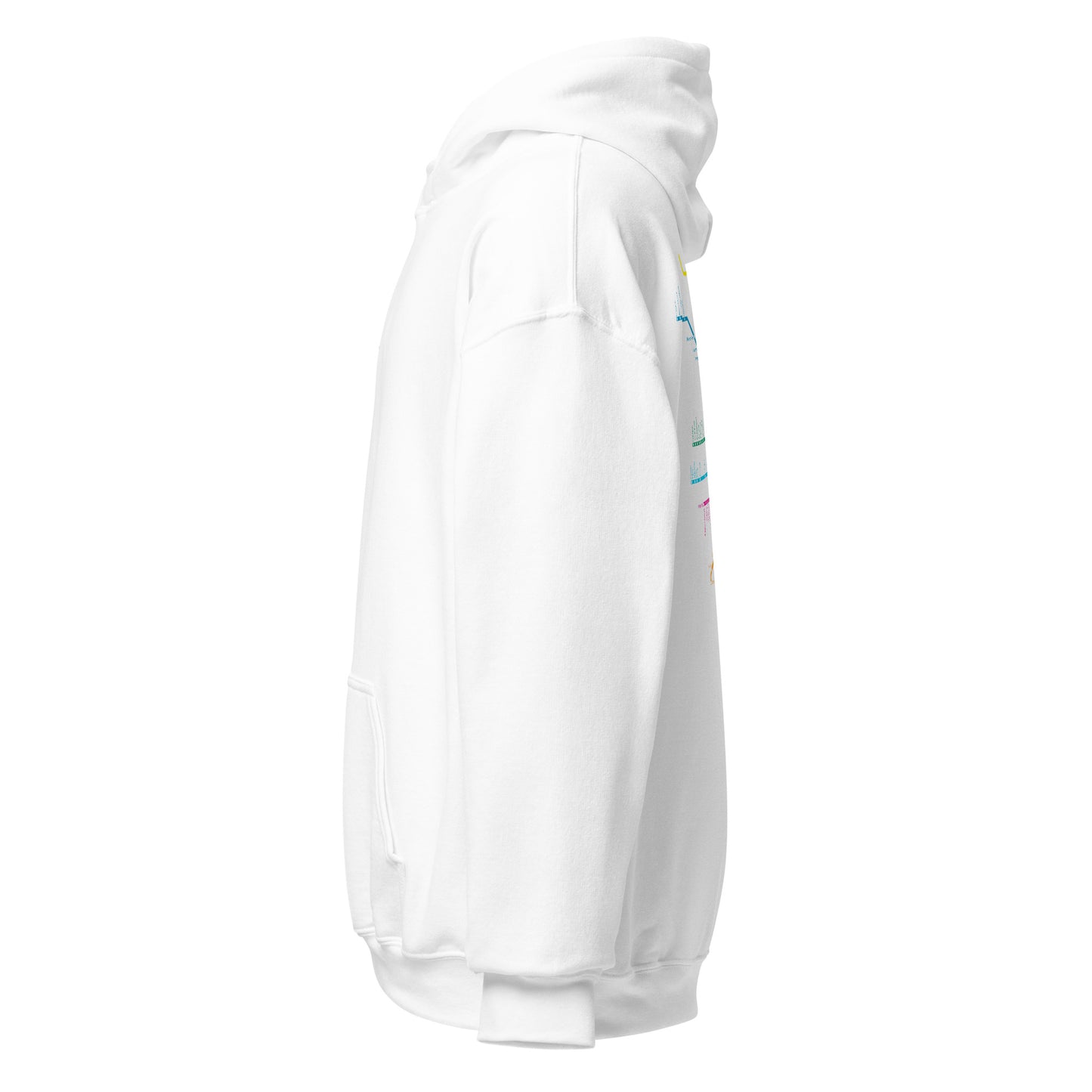 chicago L' line Hoodie